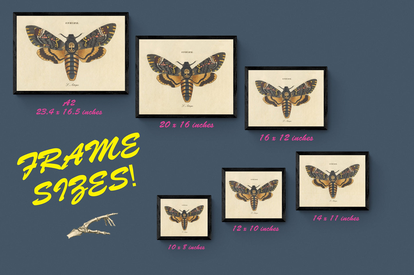 Black Caimans Print
