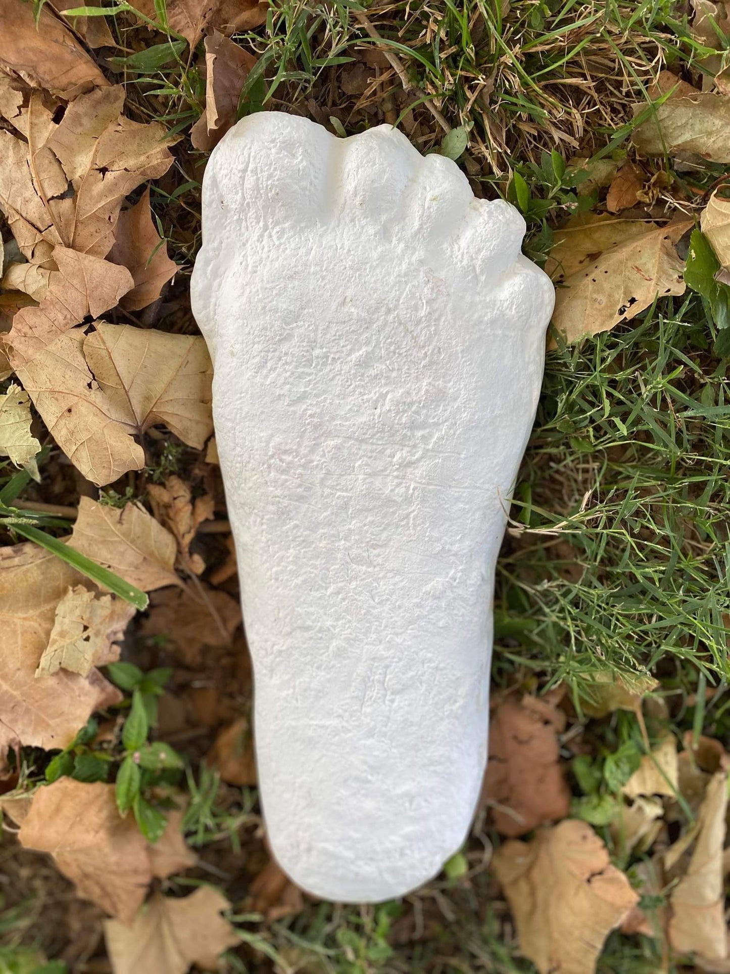 1967 Bigfoot Patterson Patty track footprint cast