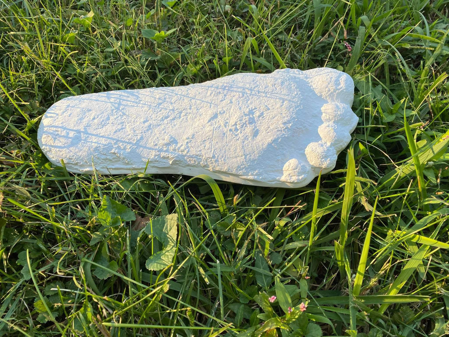 1967 Bigfoot Patterson Patty track footprint cast