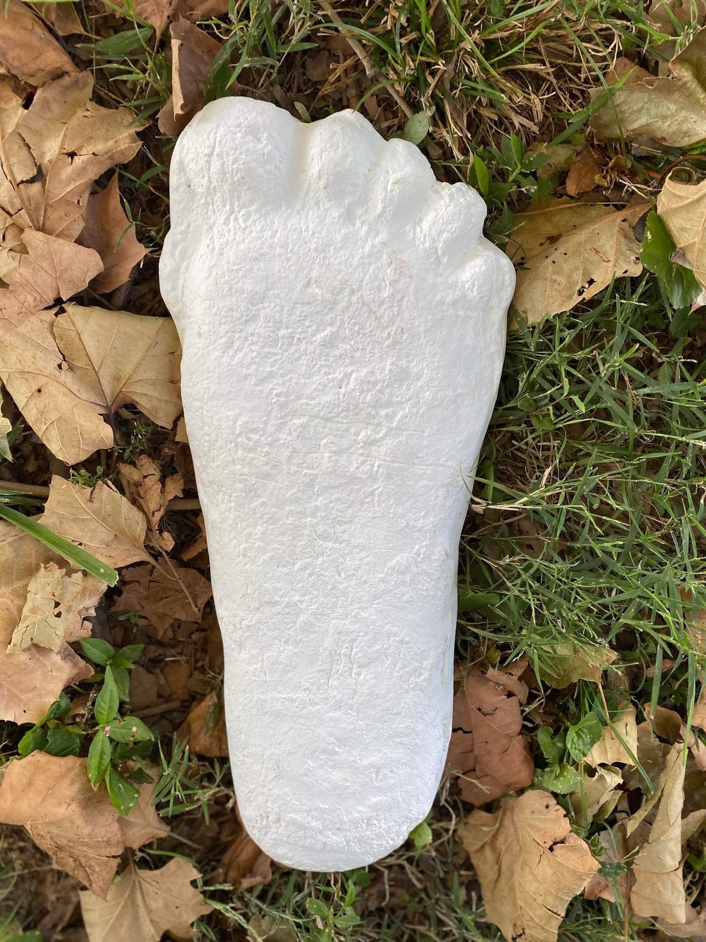 1967 Bigfoot Patterson Patty track footprint cast