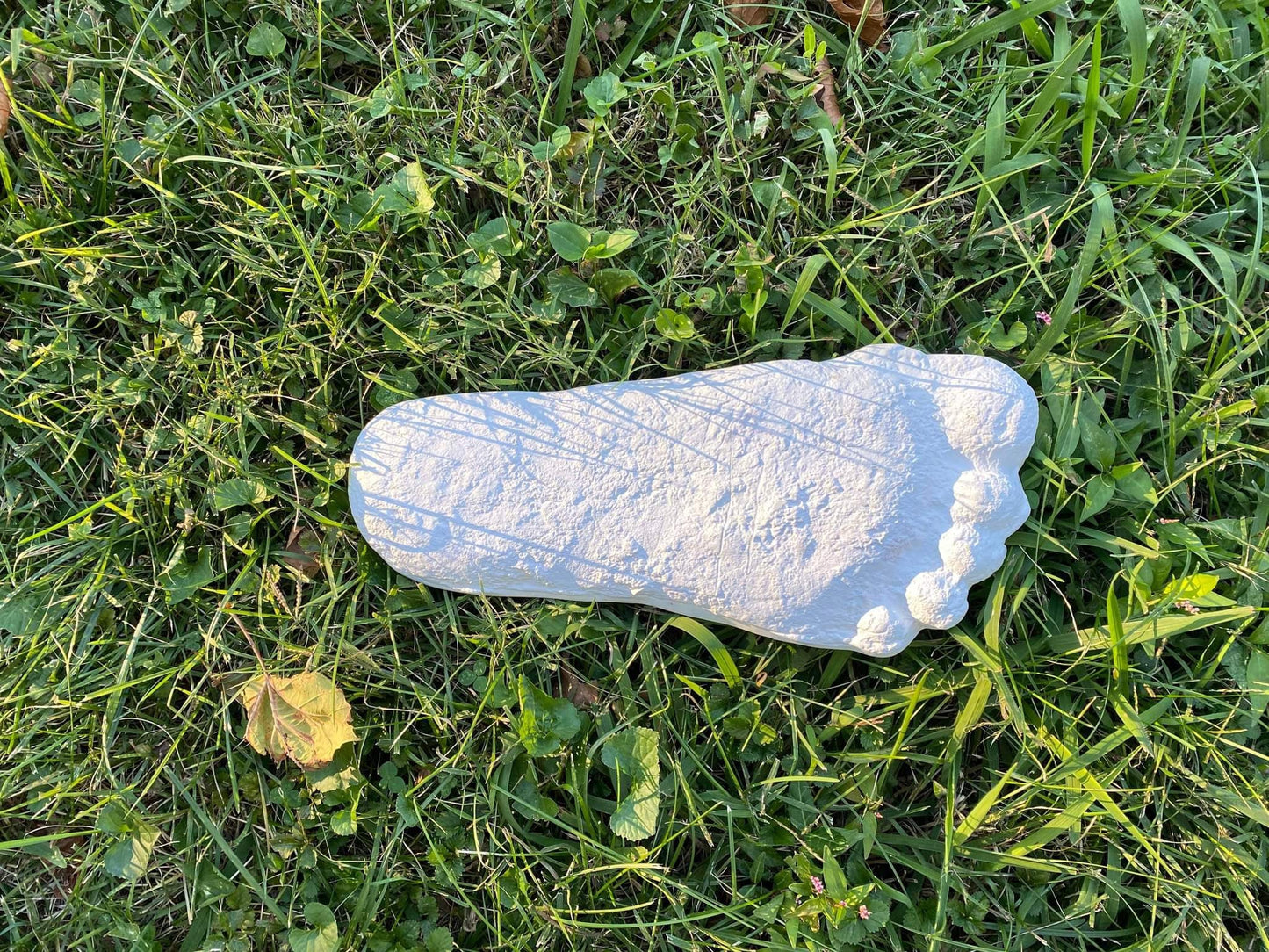 1967 Bigfoot Patterson Patty track footprint cast