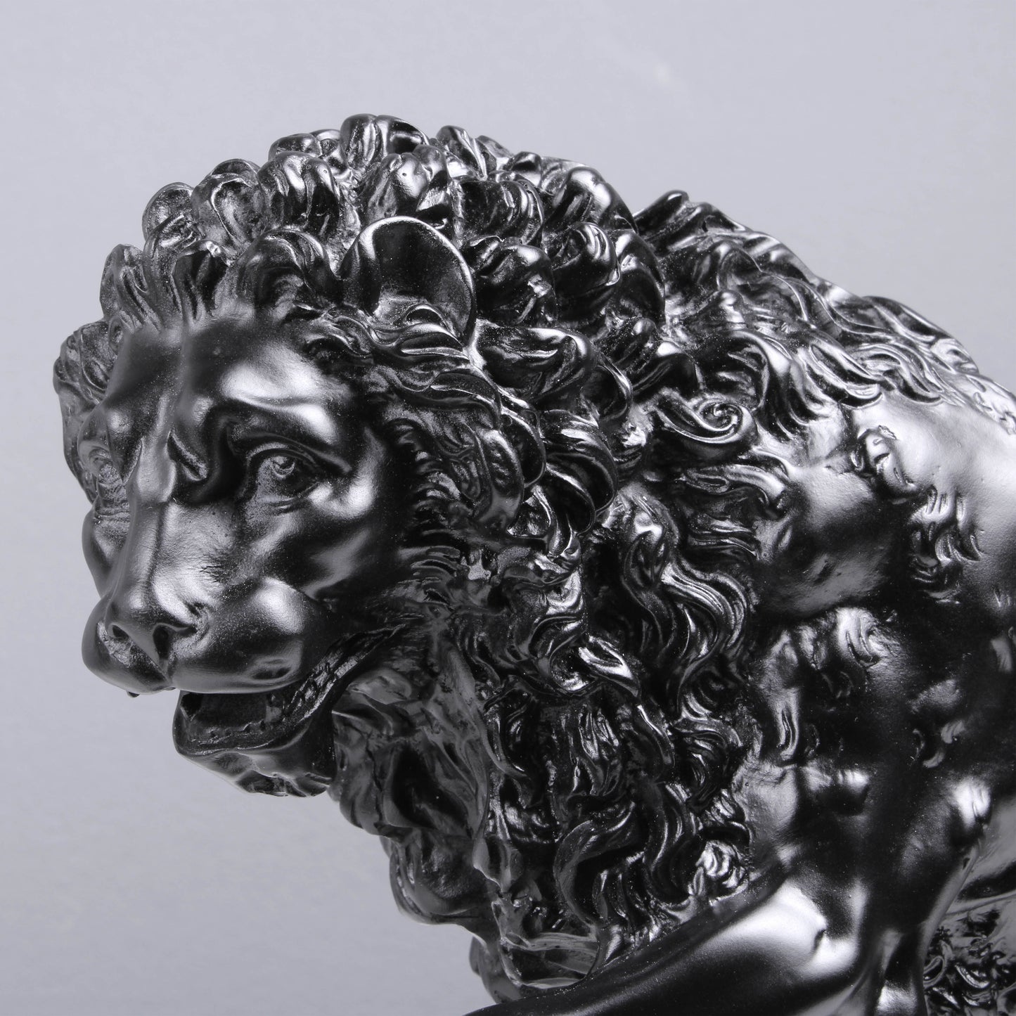 Black Medici Lions Statue in Pair