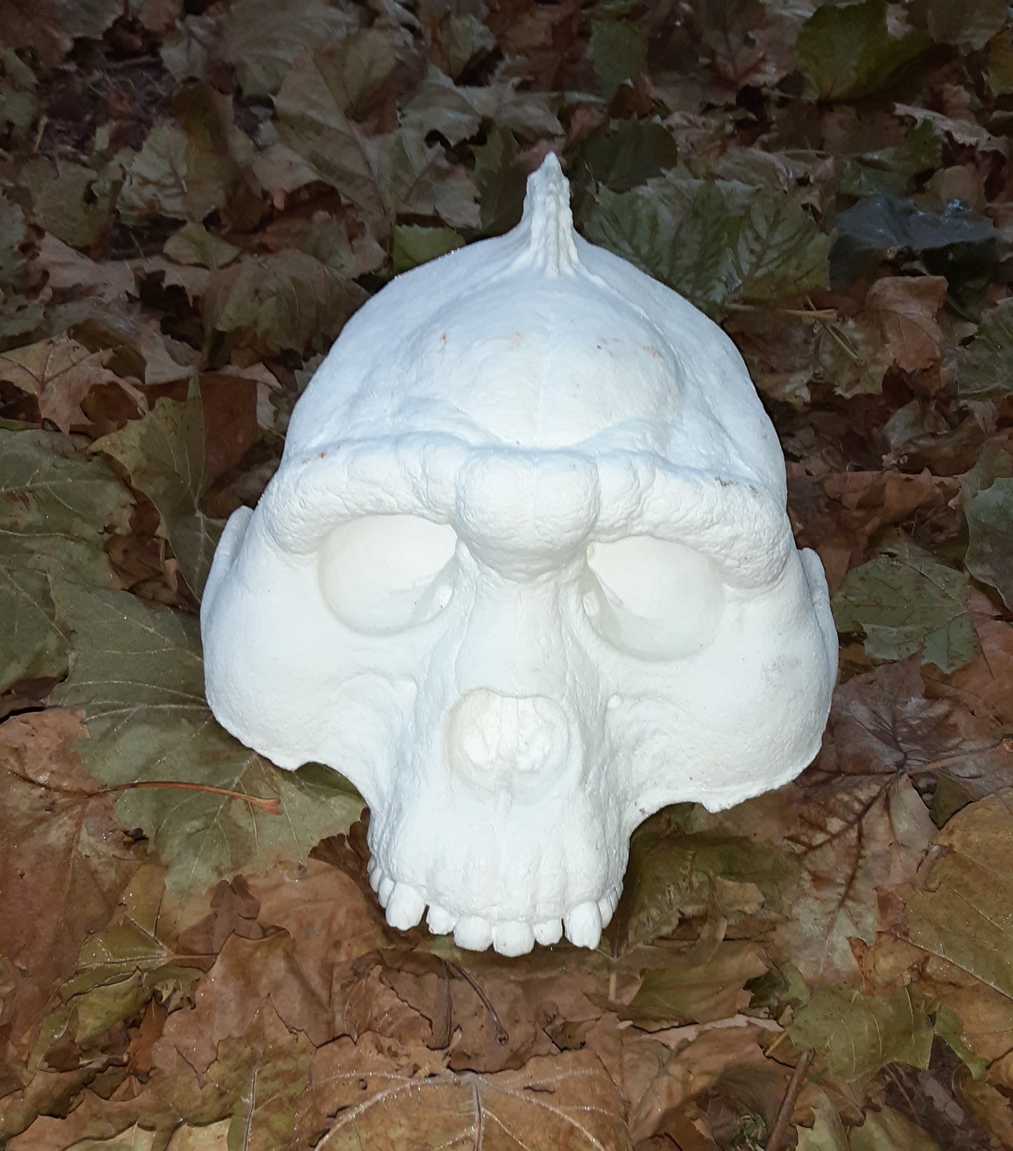 Bigfoot Skull Cast Artistic Interpretation by Master artist.