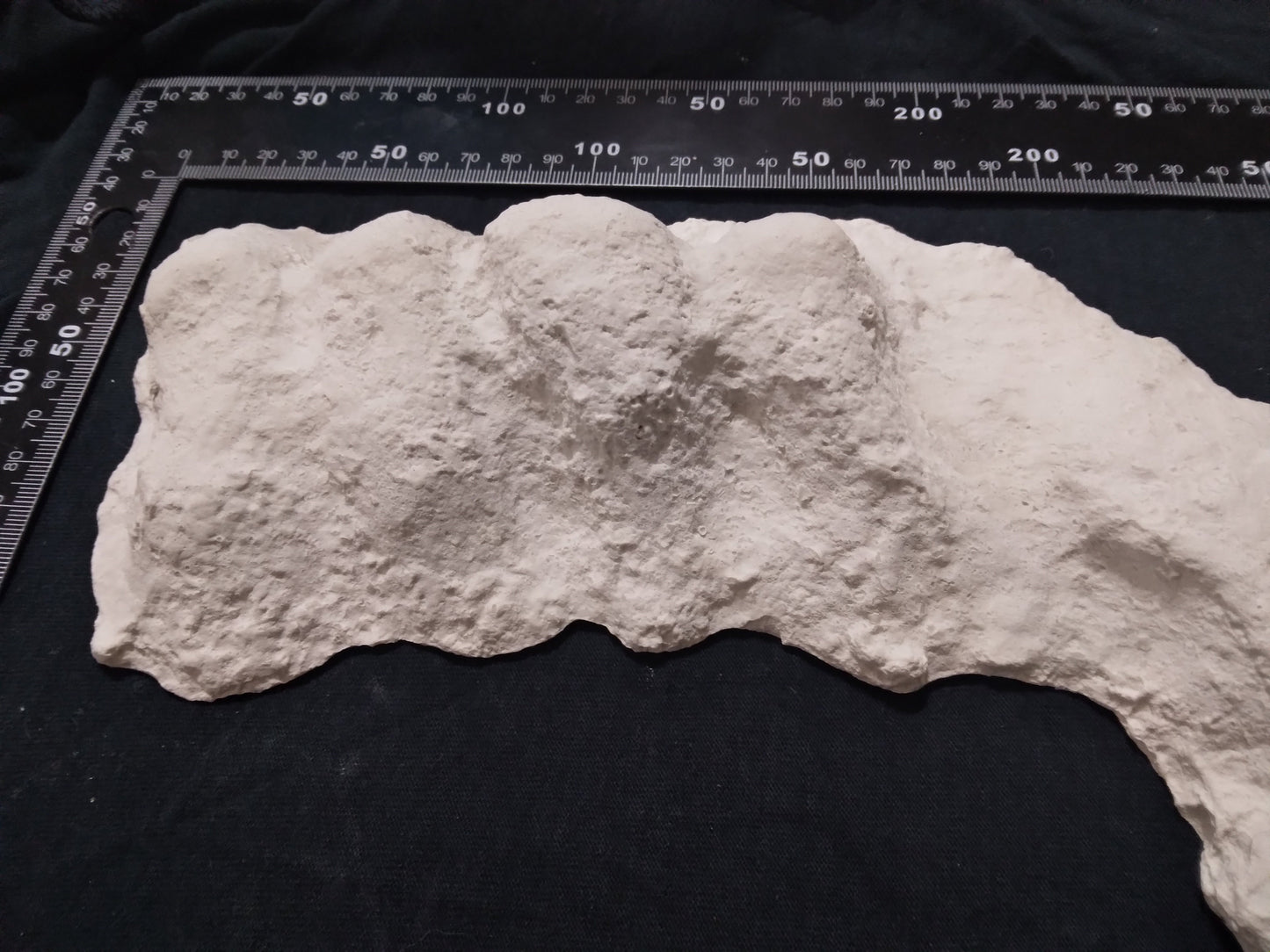 1982 Bigfoot / Sasquatch knuckle print cast replica
