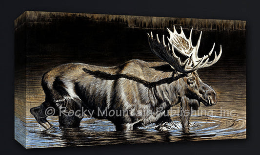 Big Dipper Giclee Canvas Art Prints by Joel Pilcher