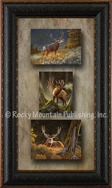 Big Game Triple Wildlife Framed Canvas by Dallen Lambson