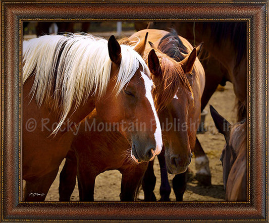 Best Friends Custom Framed Art Prints by Mitchell Mansanarez