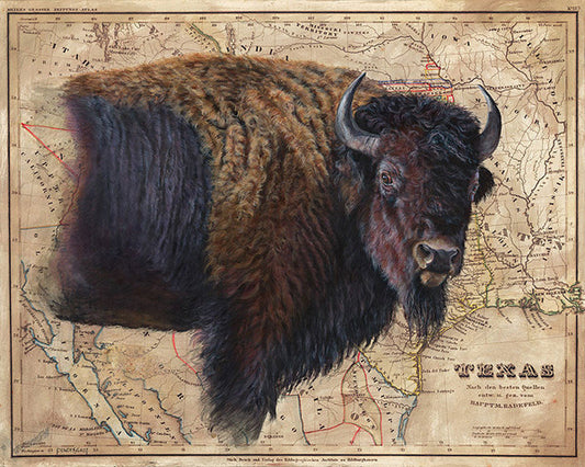 Bison on Map of Texas by Patty Pendergast