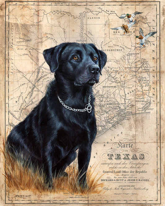 Black Lab on Texas Map by Patty Pendergast