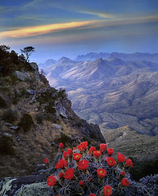 Big Bend - Art Prints by Richard Reynolds