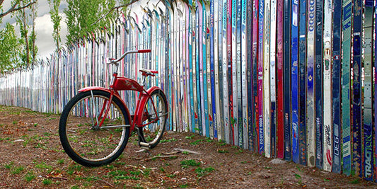 Best of Both Worlds Bicycle Art Prints by Todd Van Fleet Artist