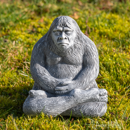 Bigfoot. Zen Bigfoot. Bigfoot Toy