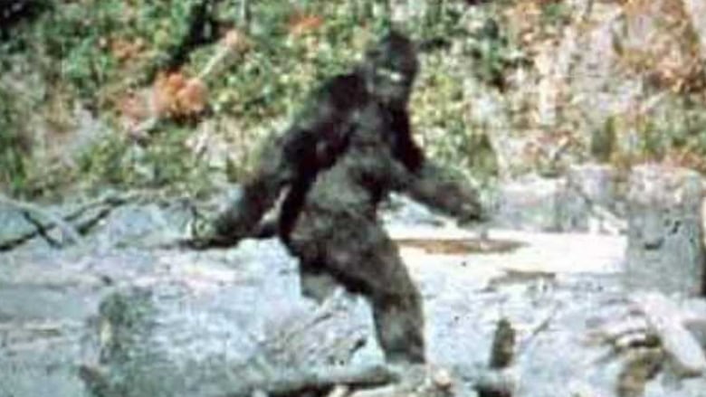 1967 Bigfoot Patterson Patty track footprint cast