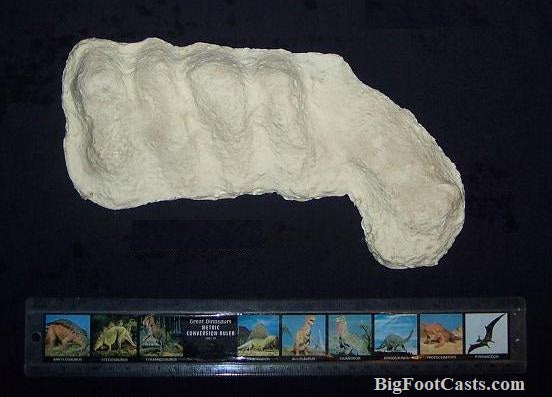 1982 Bigfoot / Sasquatch knuckle print cast replica