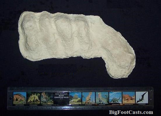 1982 Bigfoot / Sasquatch knuckle print cast replica