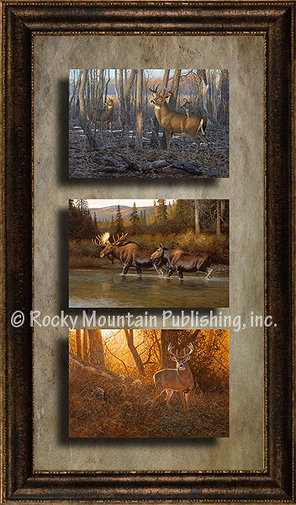 Big Game ¨C Triple Giclee Canvas Framed Art Prints by Hayden Lambson
