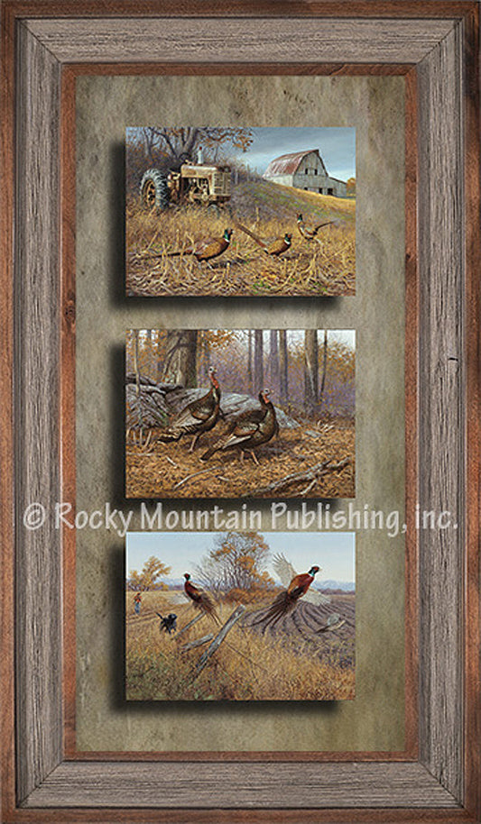 Birds ¨C Triple Giclee Canvas Framed Art Prints by Hayden Lambson