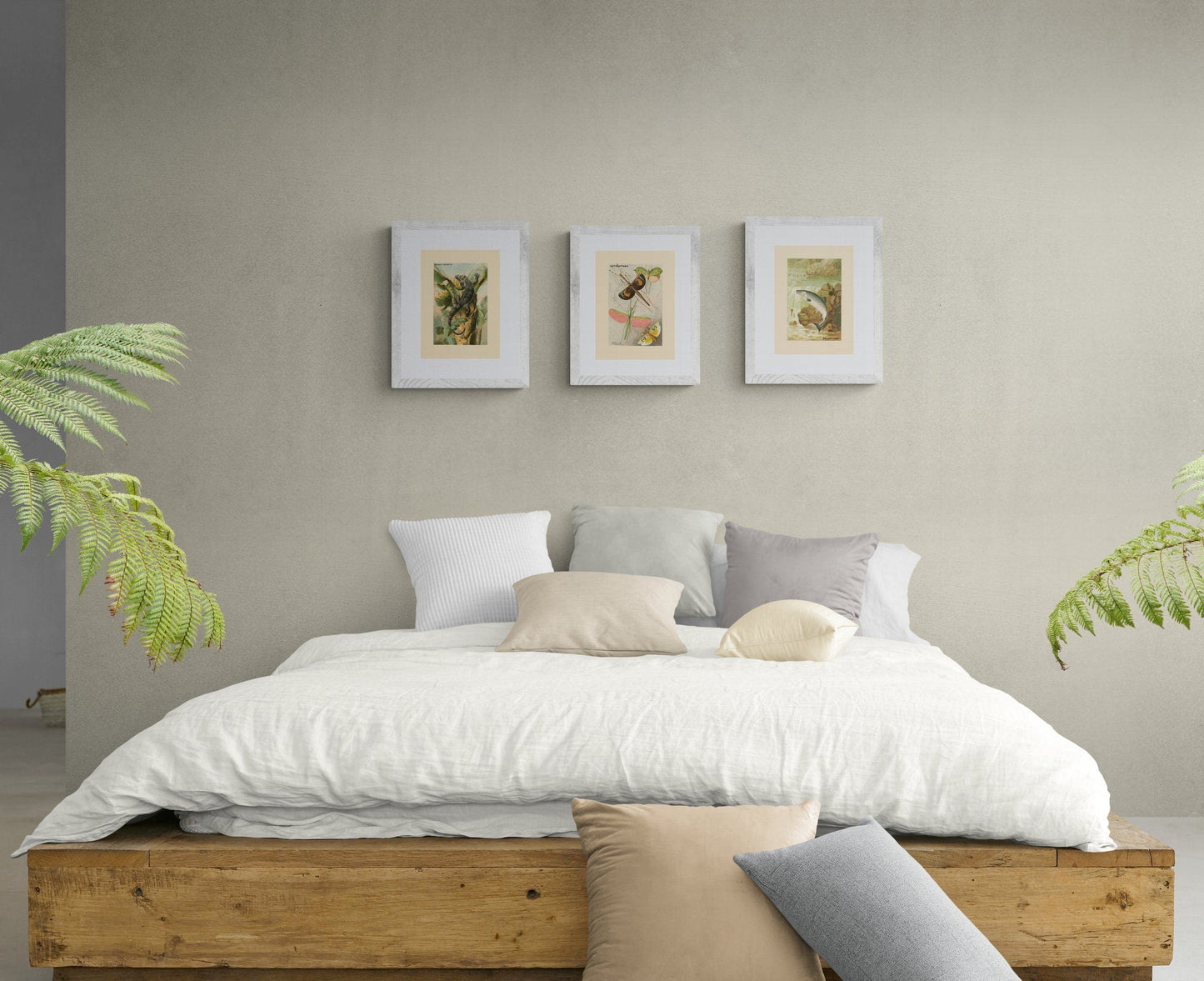 Black Iguana Print