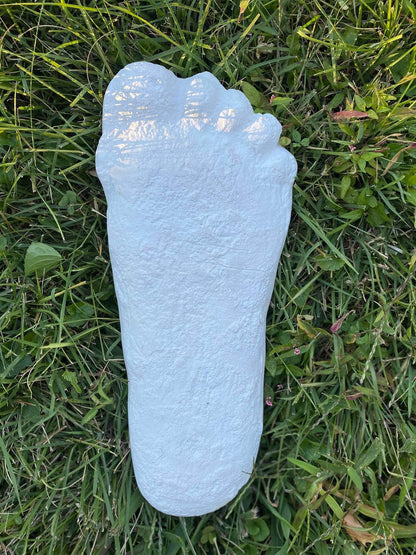 1967 Bigfoot Patterson Patty track footprint cast