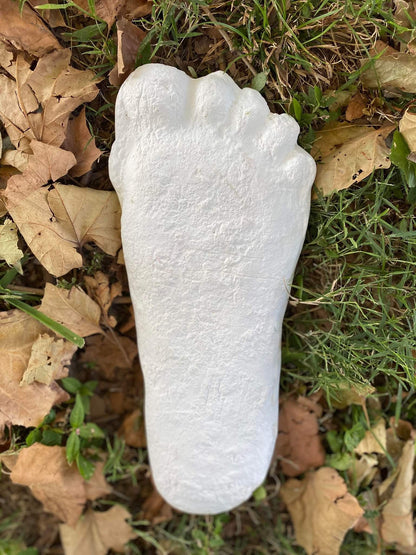1967 Bigfoot Patterson Patty track footprint cast