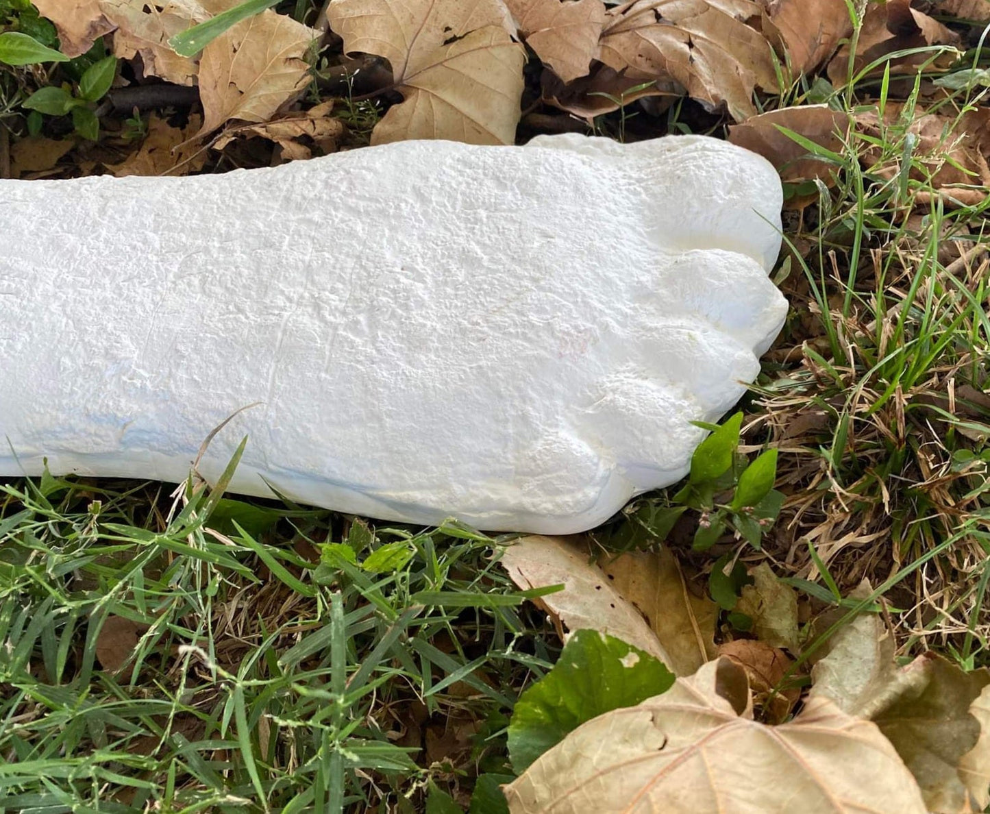 1967 Bigfoot Patterson Patty track footprint cast